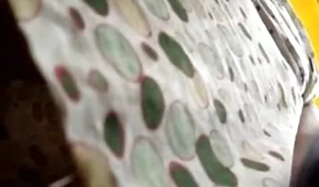 Höschen erotische filme fur frauen kostenlos Super Heavy Rain