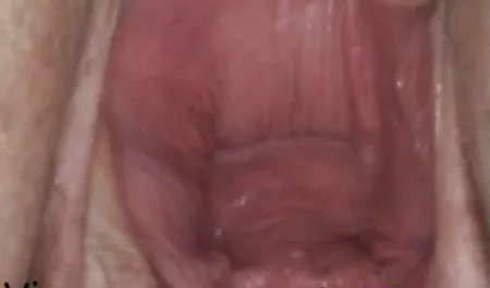 Blau und Fräulein Eve private erotikfilme